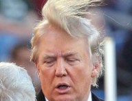 donald-trump donald-trump