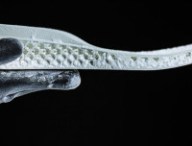 futurecraft.jpg