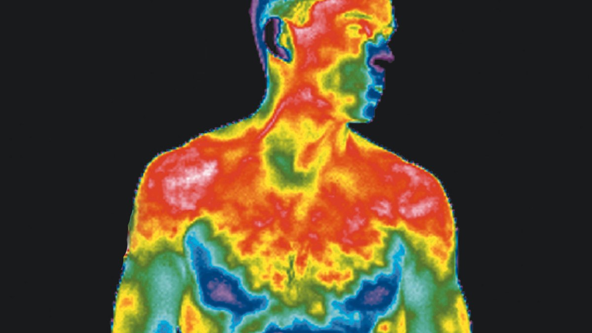 heat-body heat-body