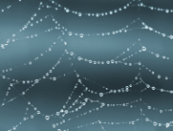 network