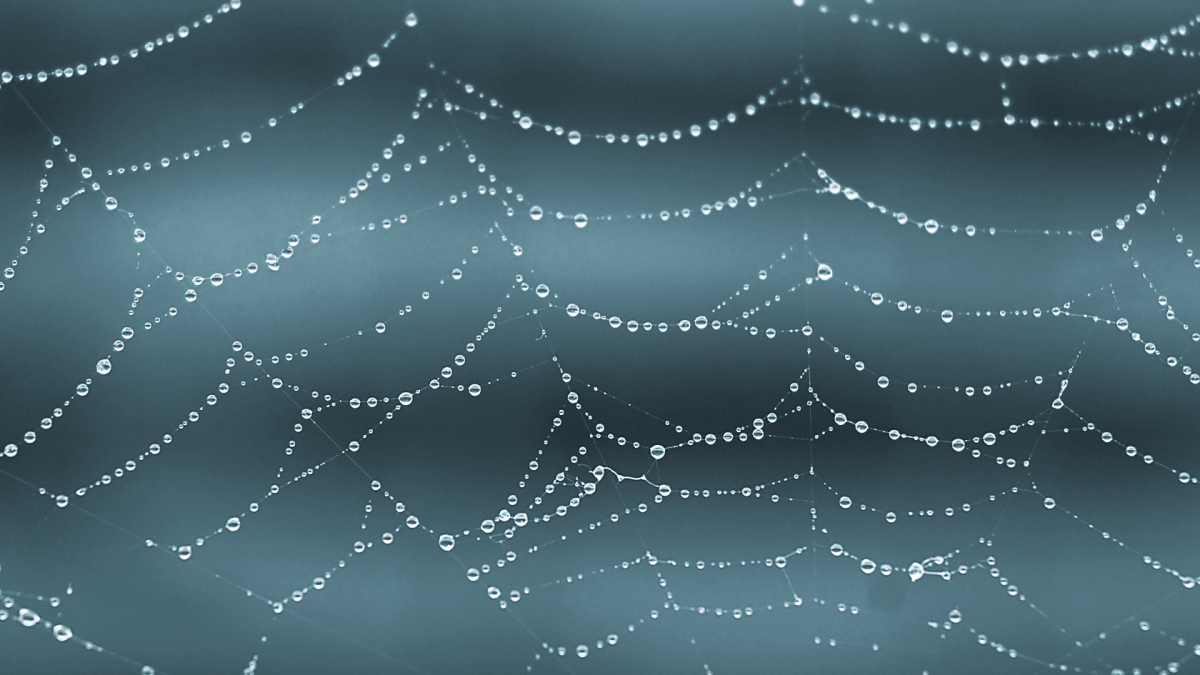 network network
