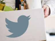 twitter-licencie