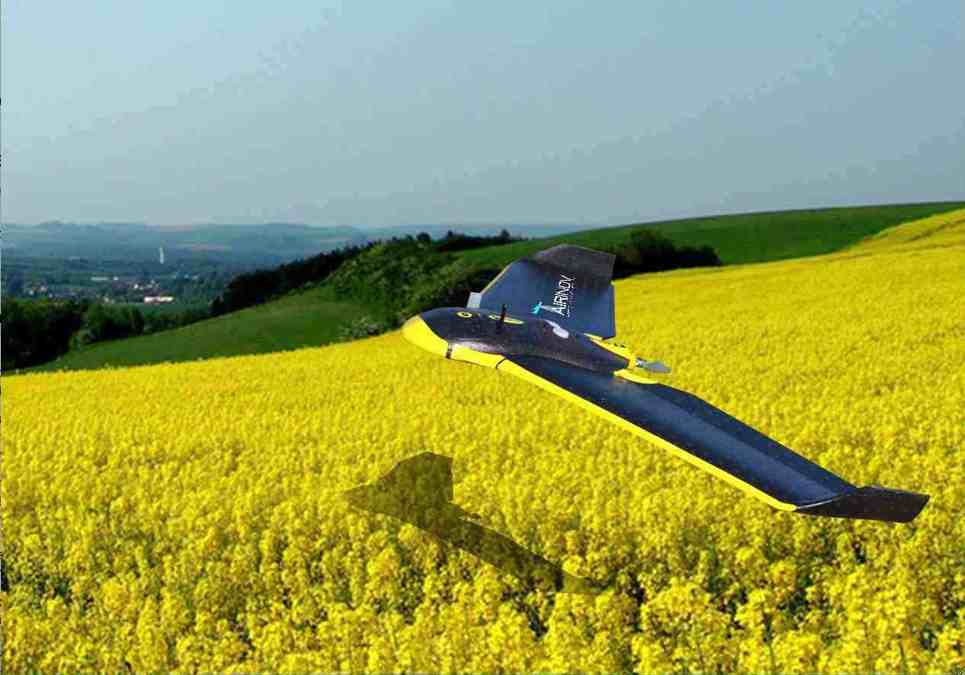 Agridrone-AirInnov-colza-3 Agridrone-AirInnov-colza-3