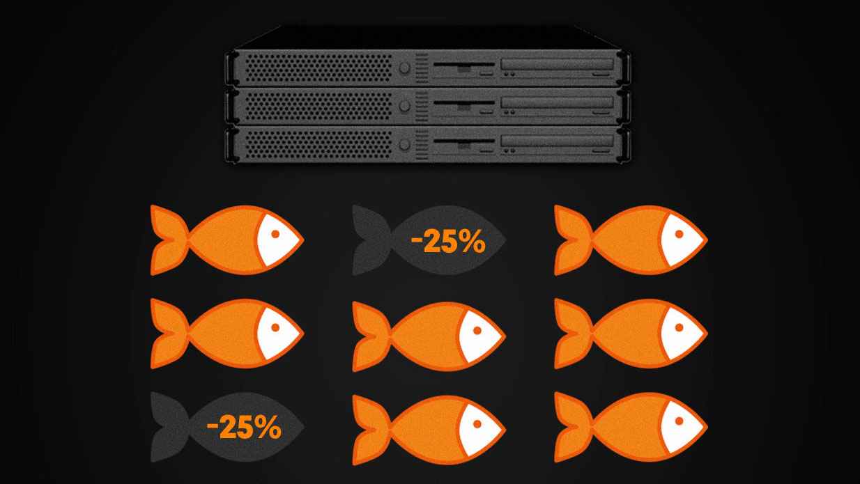 fishfriday fishfriday