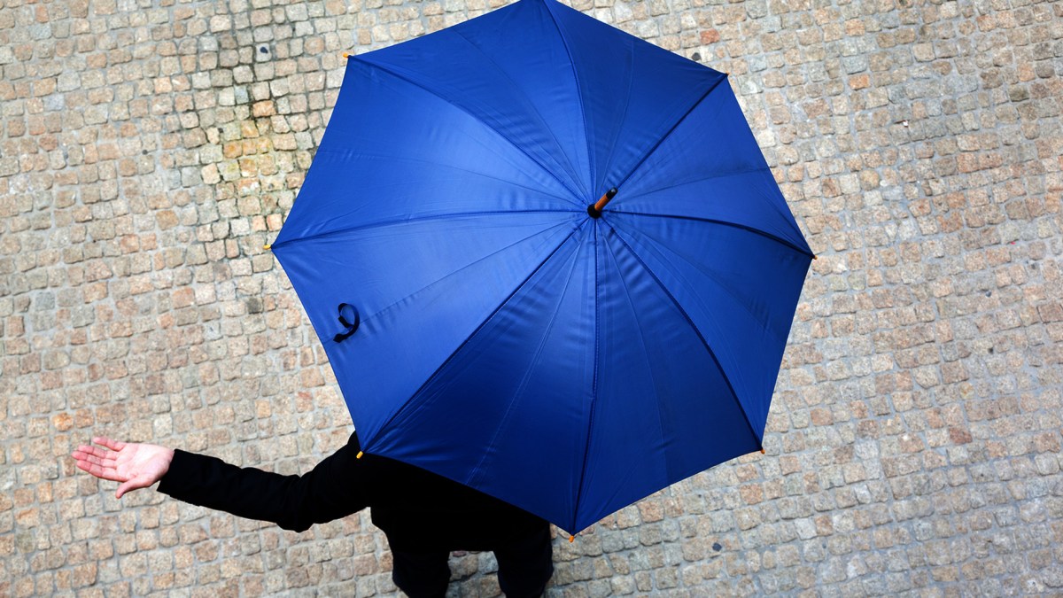 parapluie-1900 parapluie-1900