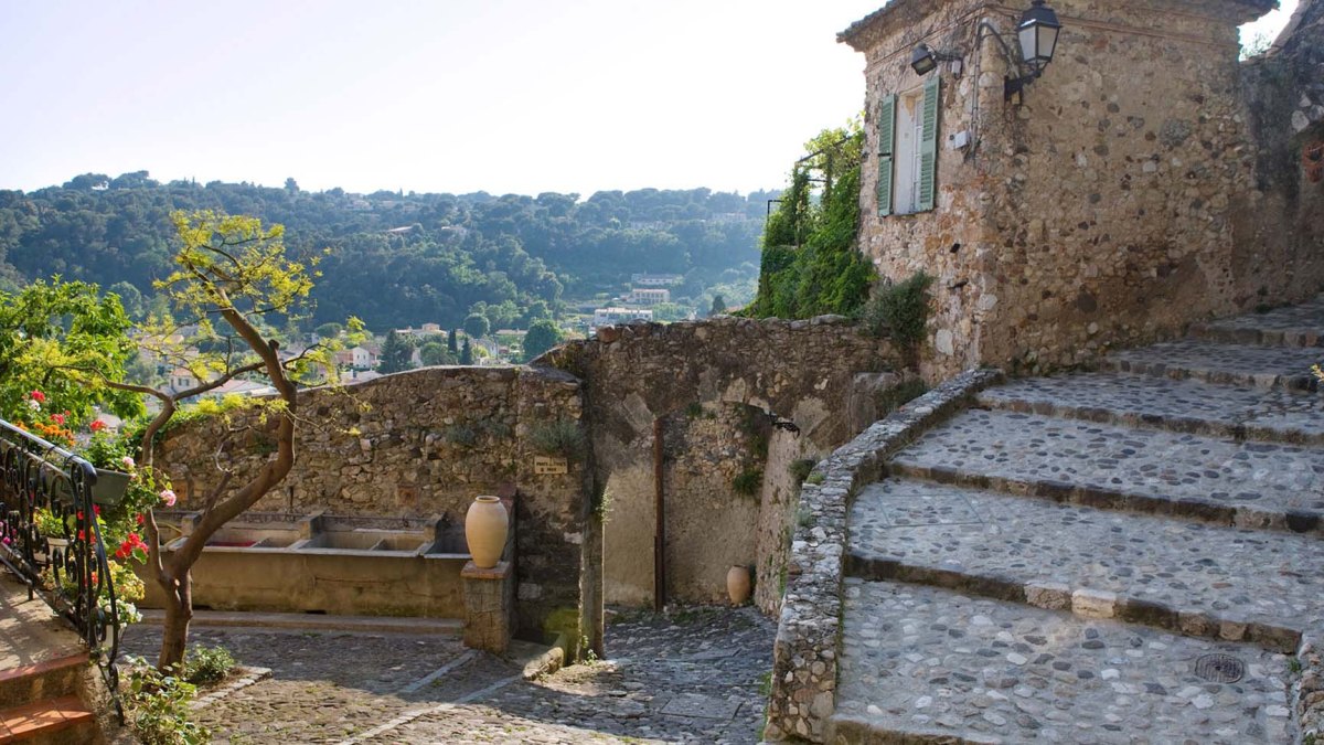 Biot Biot