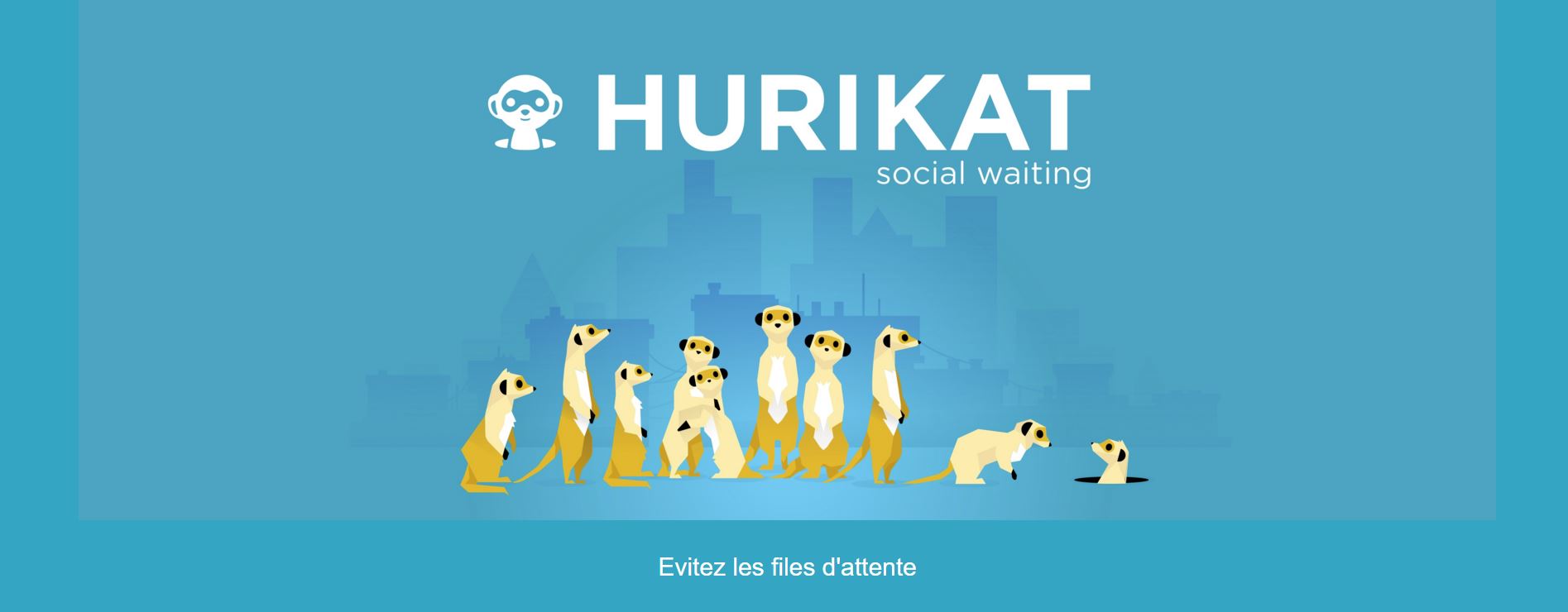 hurikat
