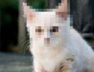 pixel