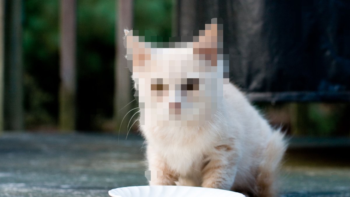 pixel pixel