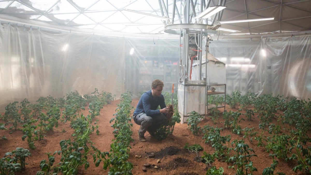 seul-sur-mars-patates seul-sur-mars-patates