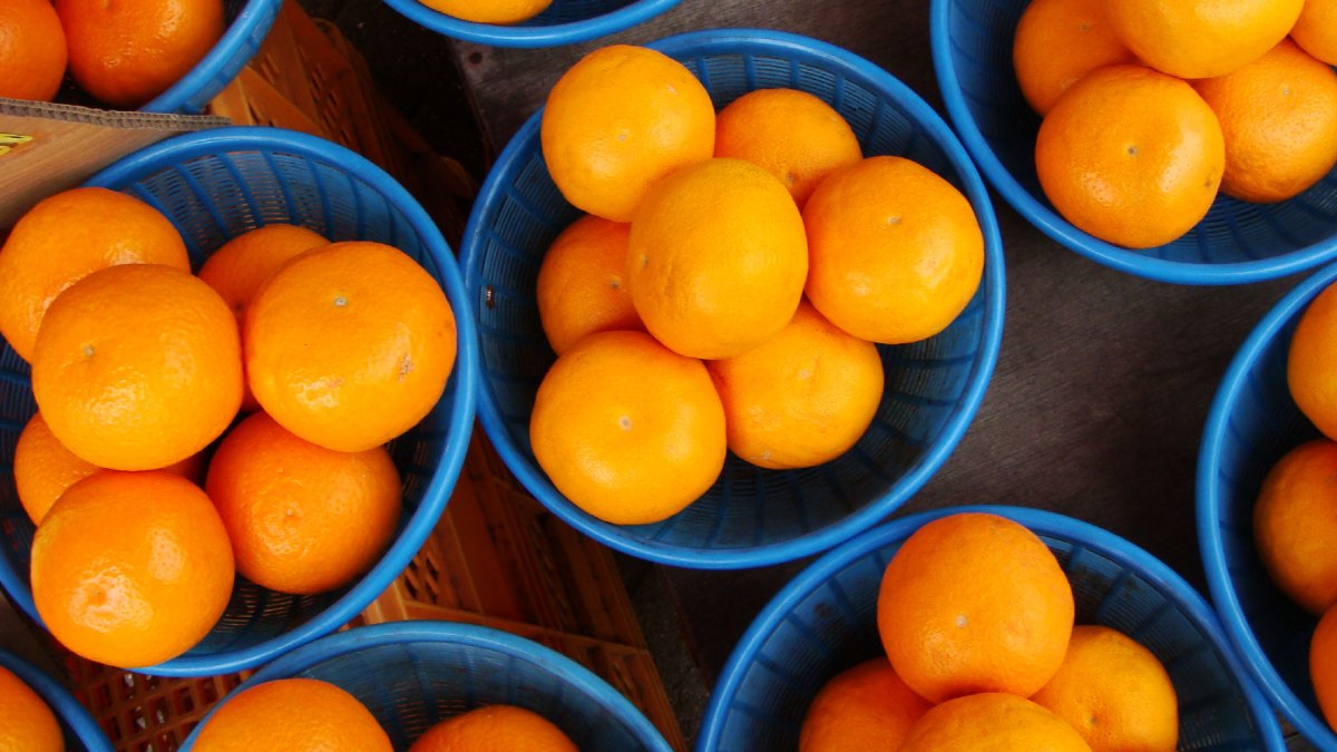 voila-orange voila-orange