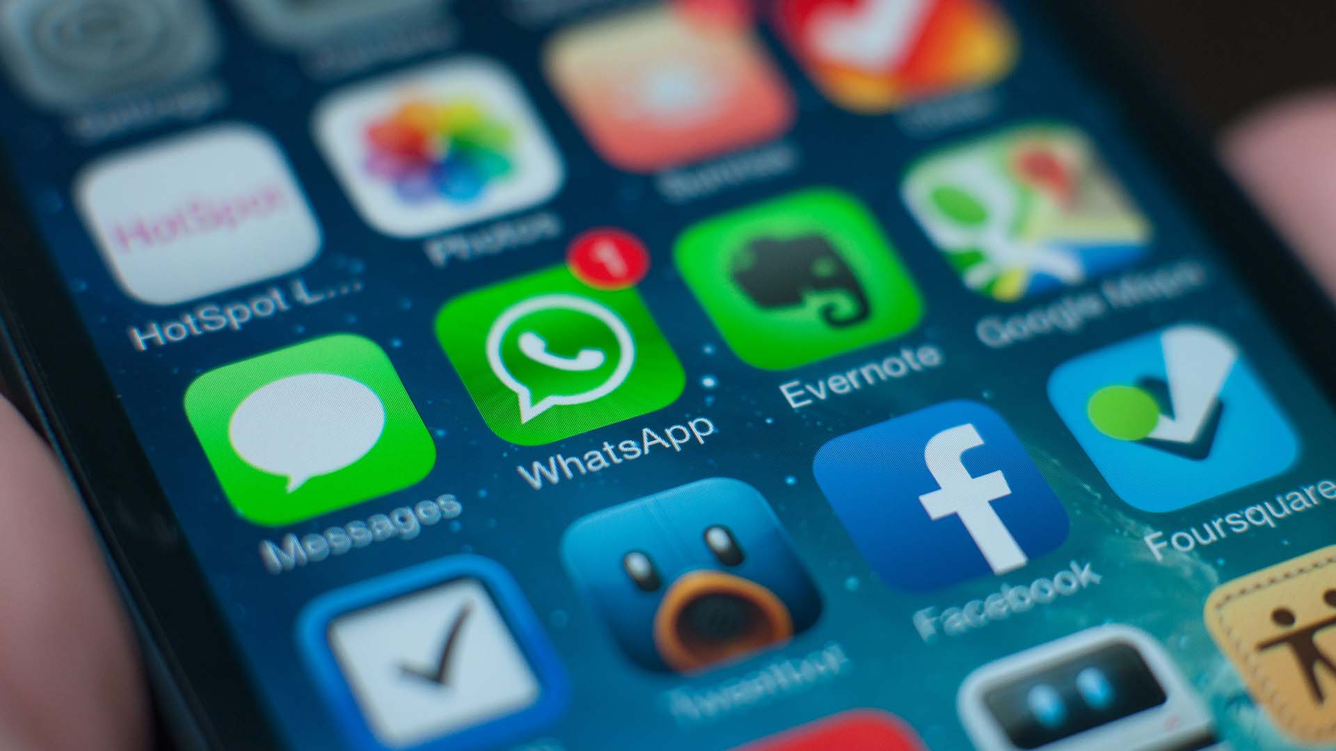 WhatsApp app WhatsApp app