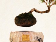 airbonsai