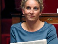 delphinebato