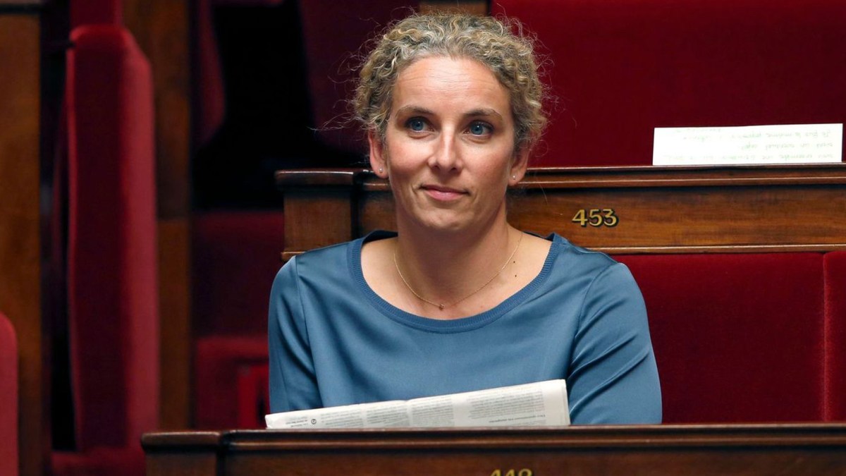 delphinebato delphinebato
