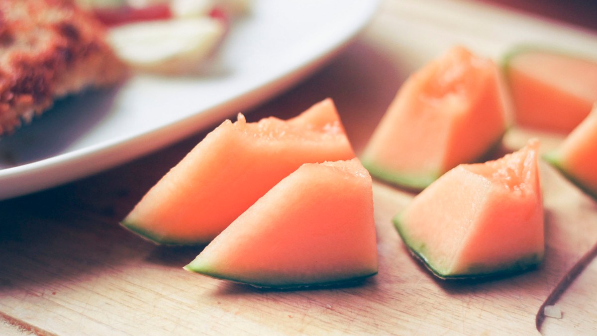 Melon illustration Melon illustration