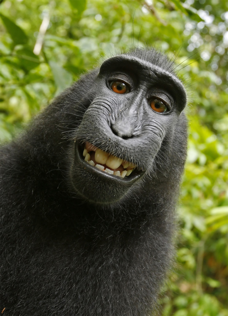 naruto-selfie naruto-selfie