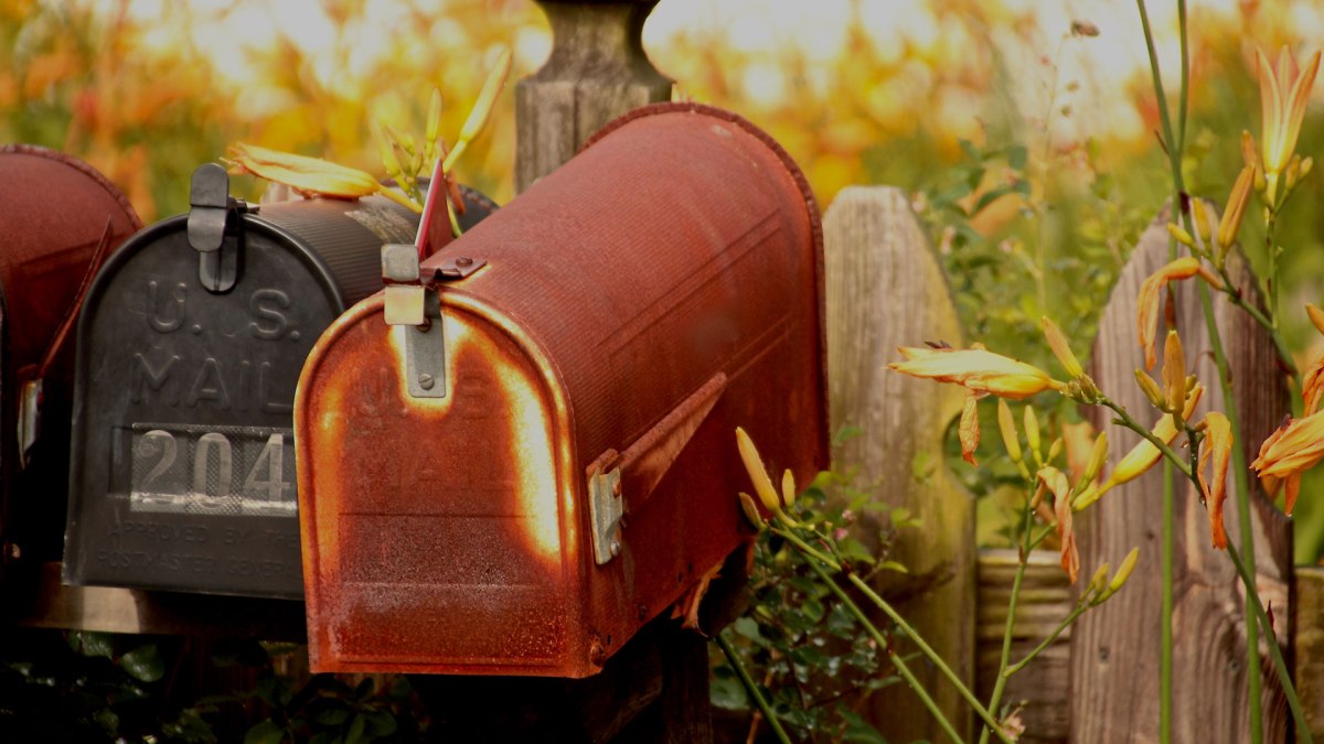 newsletter newsletter