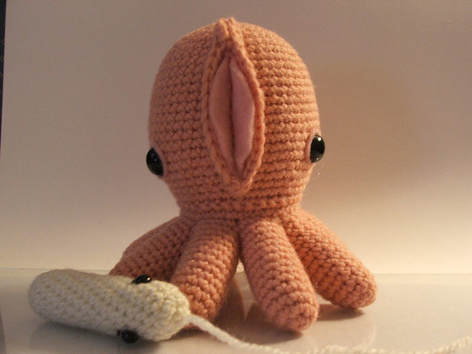 Octopussy Octopussy