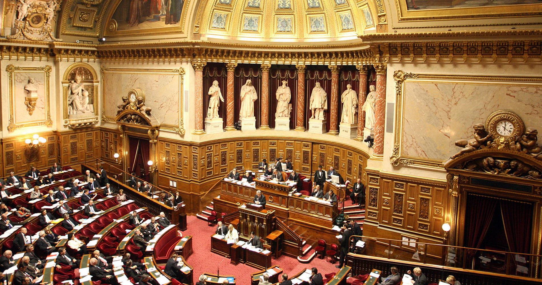 senat senat