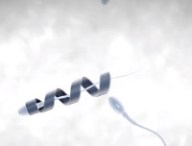 spermatozoide-robot