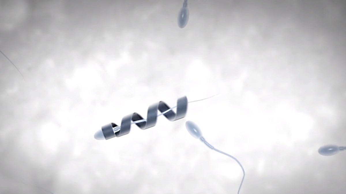 spermatozoide-robot spermatozoide-robot