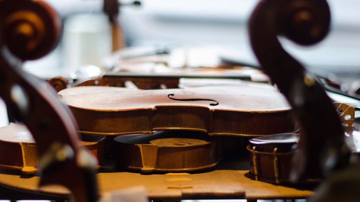 Violon Violon