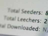 Un partage par BitTorrent. // Source : nrkbeta