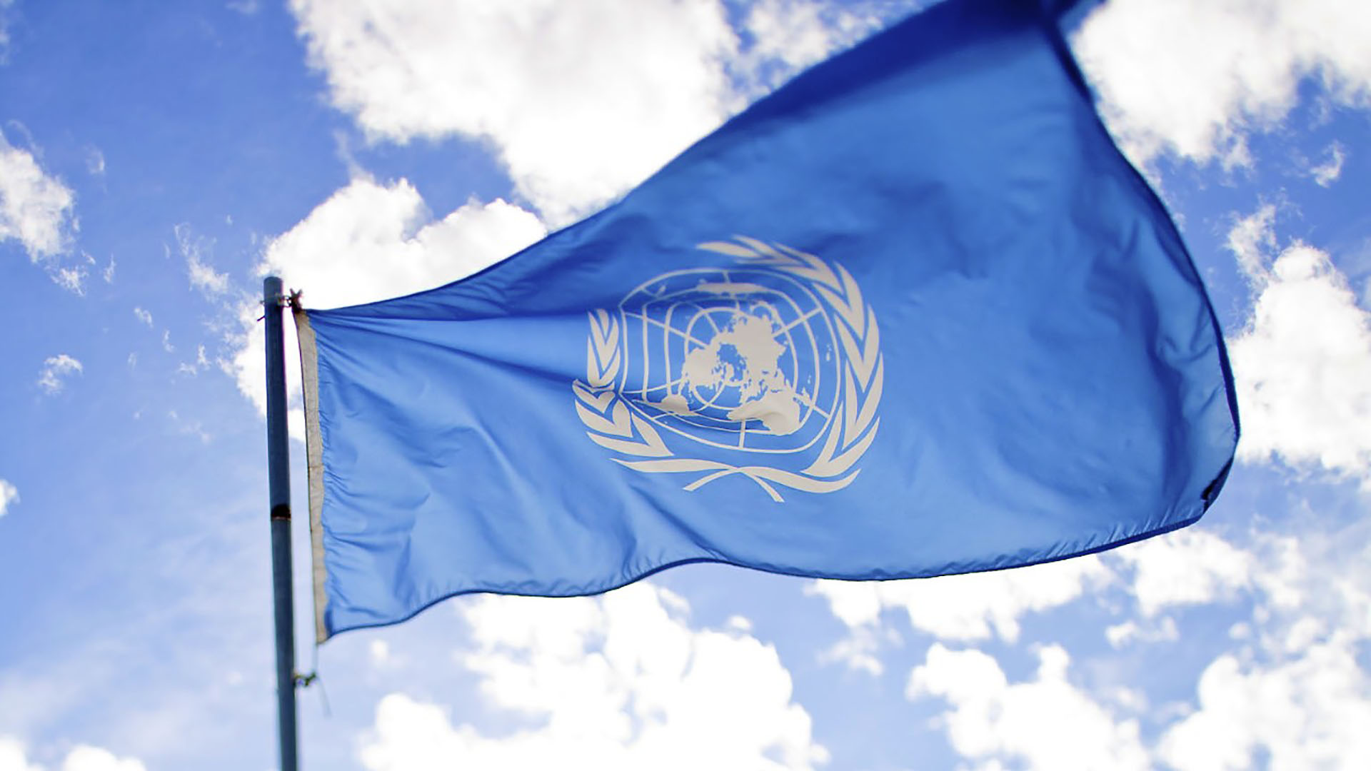 Drapeau ONU Drapeau ONU