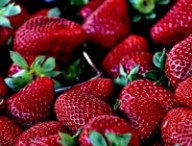Fraises