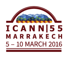 icann55 icann55