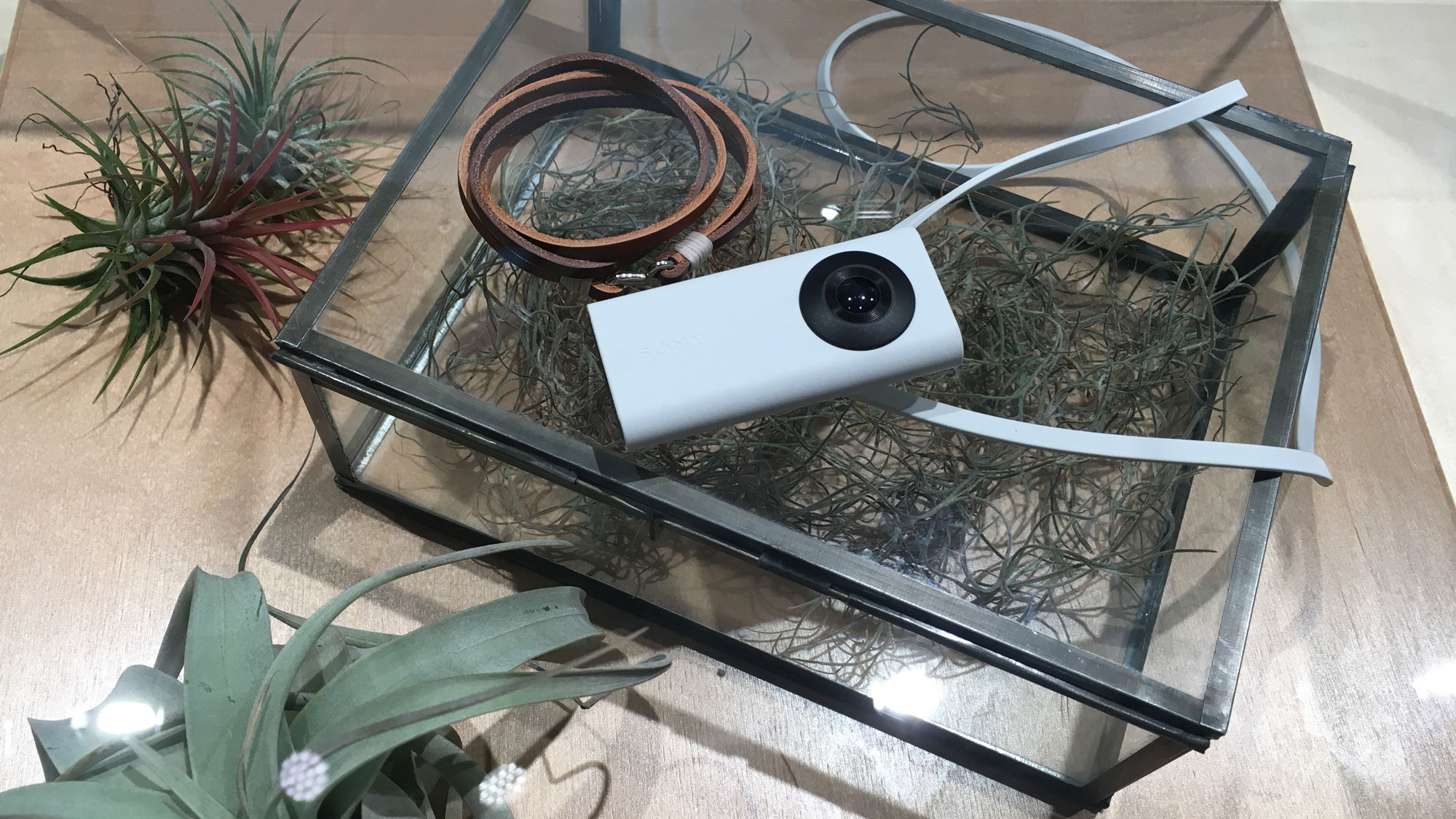 sony2 sony2