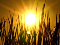 sun-une