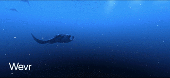 theblu_encounter_wevr theblu_encounter_wevr