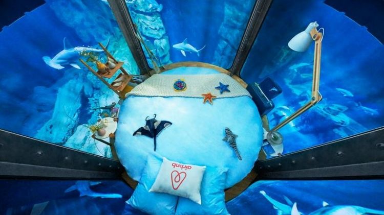 Un requin qui saute au dessus de la barrière, deux requins qui sautent au dessus de la barrière, trois ... Un requin qui saute au dessus de la barrière, deux requins qui sautent au dessus de la barrière, trois ...