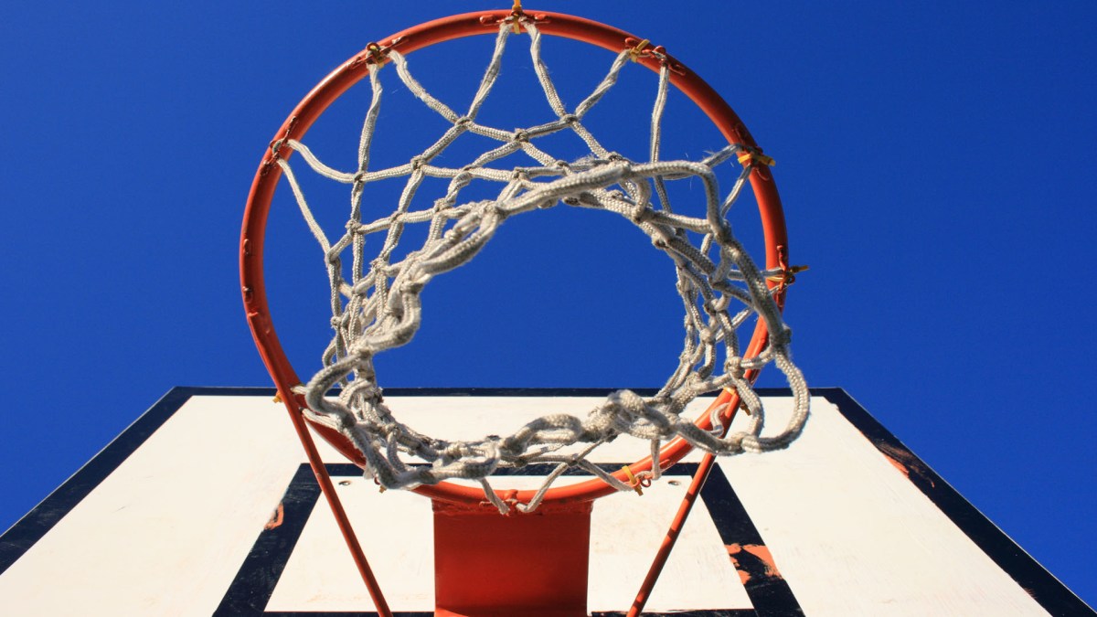 basket basket