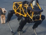 Chien robot