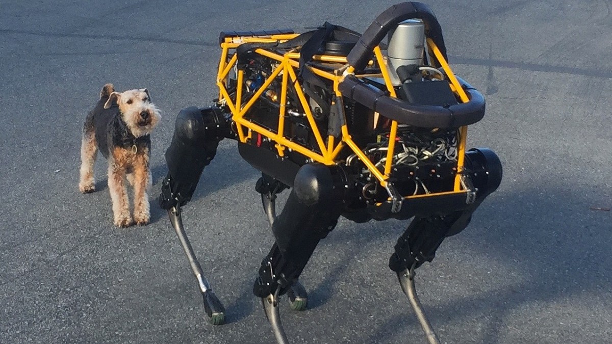 Chien robot Chien robot
