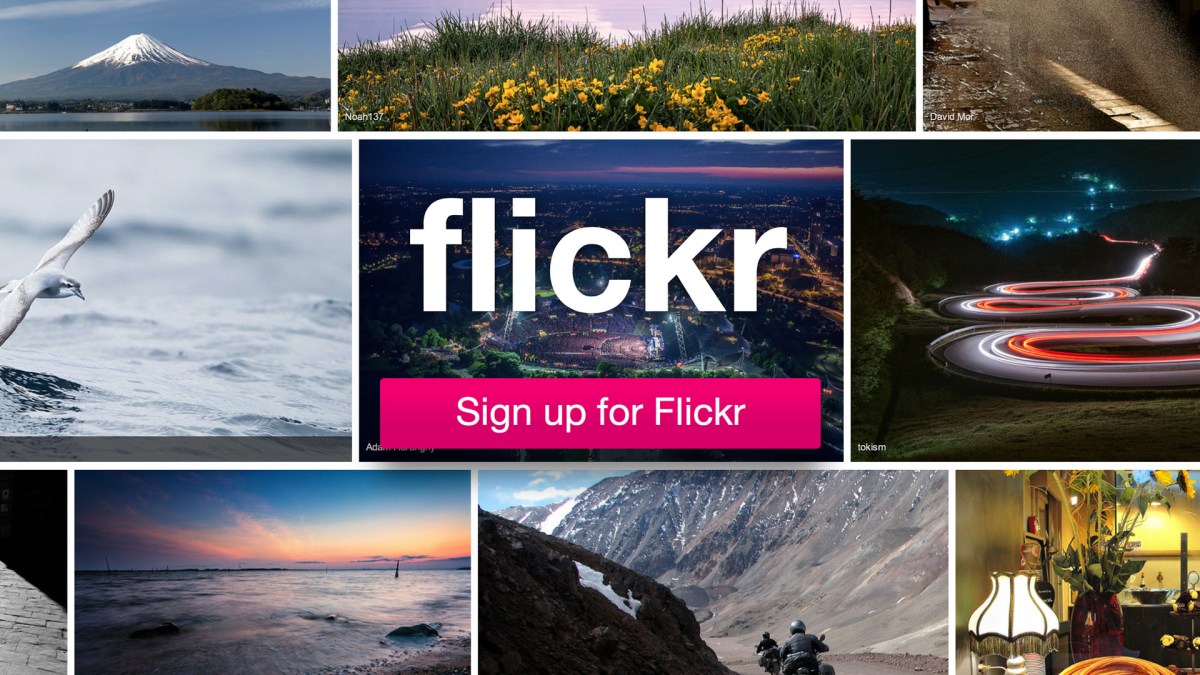 flickr flickr