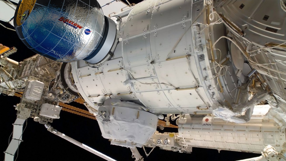 Nasa Nasa