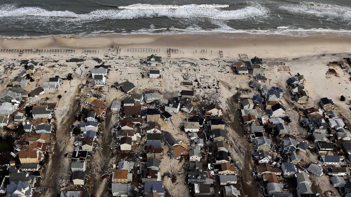 sandy sandy