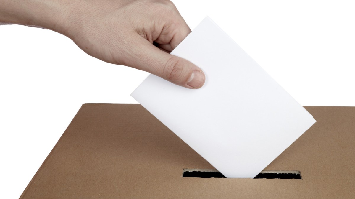vote vote