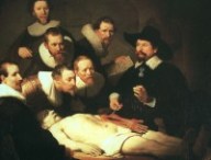 Leçon-anatomie