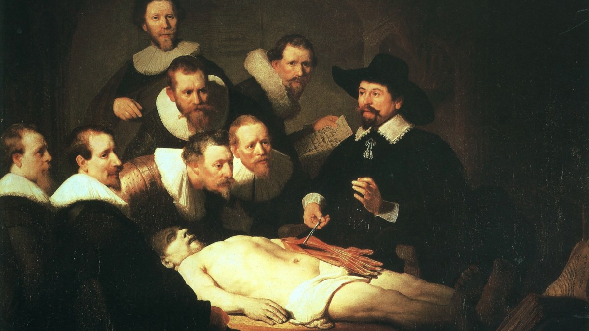 Leçon-anatomie Leçon-anatomie