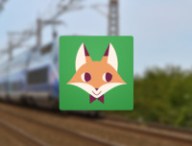 misterfox