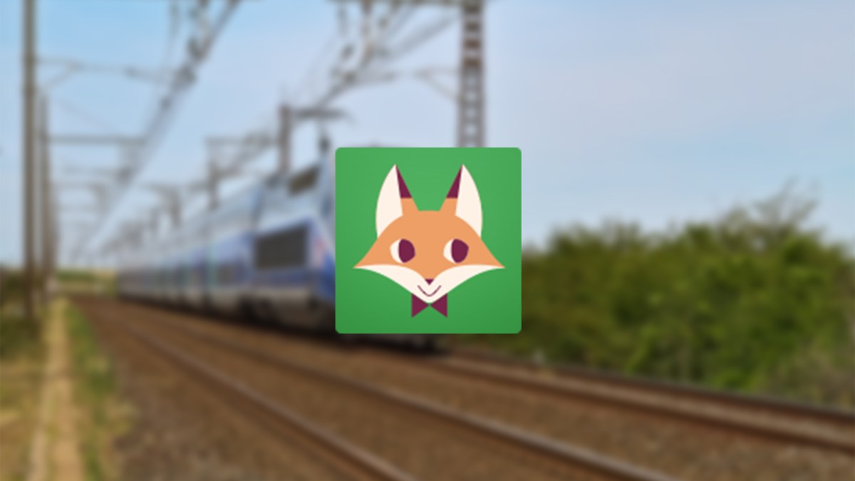 misterfox misterfox