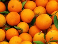 orange-1900