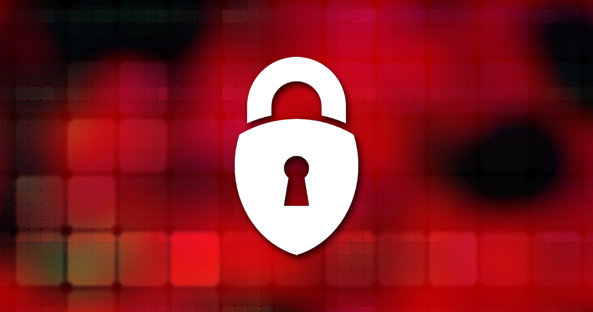 privacy-shield privacy-shield