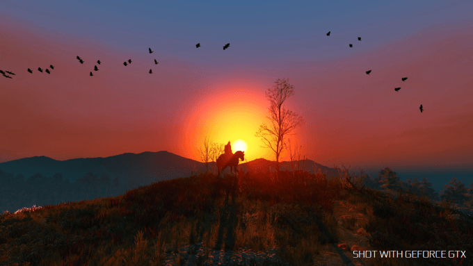 Ansel capture 3 Ansel capture 3