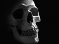 human-skull